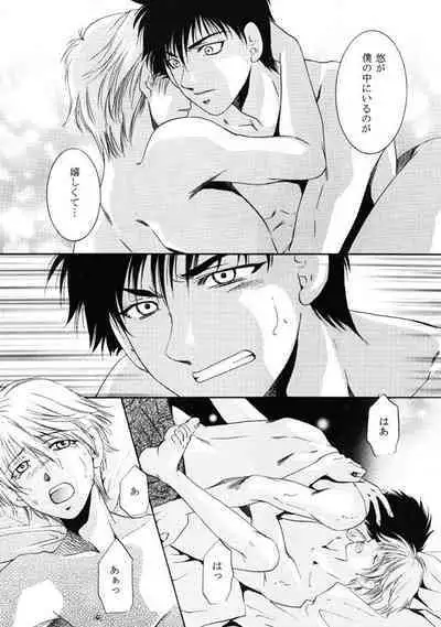 Himego no Niwa