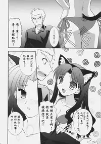 (C72) [C.A.T (Morisaki Kurumi)] RED/II (Fate/stay night) [Chinese] [wl00314824個人漢化]