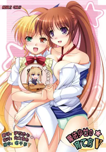 [K-Drive (Narutaki Shin)] Sayonara Mahou Shoujo (Mahou Shoujo Lyrical Nanoha) [Digital]