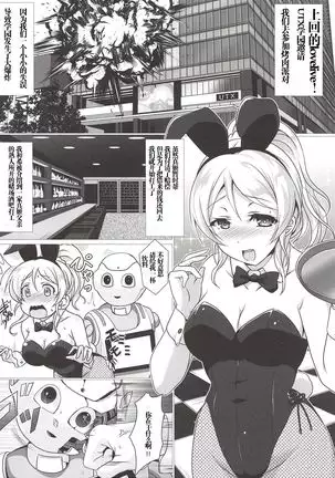 BunnyFes!!