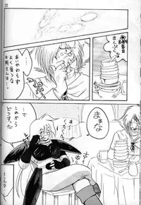 [Ginmomodou (Mita Satomi)] Slayers Adult 5 (Slayers)