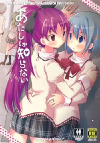 (C87) [Energia (Pikachi)] Atashi wa Tomodachi. (Puella Magi Madoka Magica) [Chinese] [无毒汉化组]