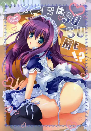 (C80) [Pyonpyororin (Akoko.)] partner (Seikon no Qwaser) [English] {CGrascal}