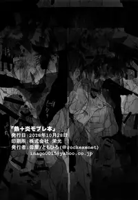 [Omoya (Tomohiro)] Heat+Fire Mobile Book (Rockman EXE)