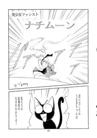 [T2 UNIT, RyuukiSya, Sakura ROC (Various)] LUNATIC ASYLUM (Sailor Moon)