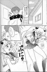 Lunch Box 6 - Usagi