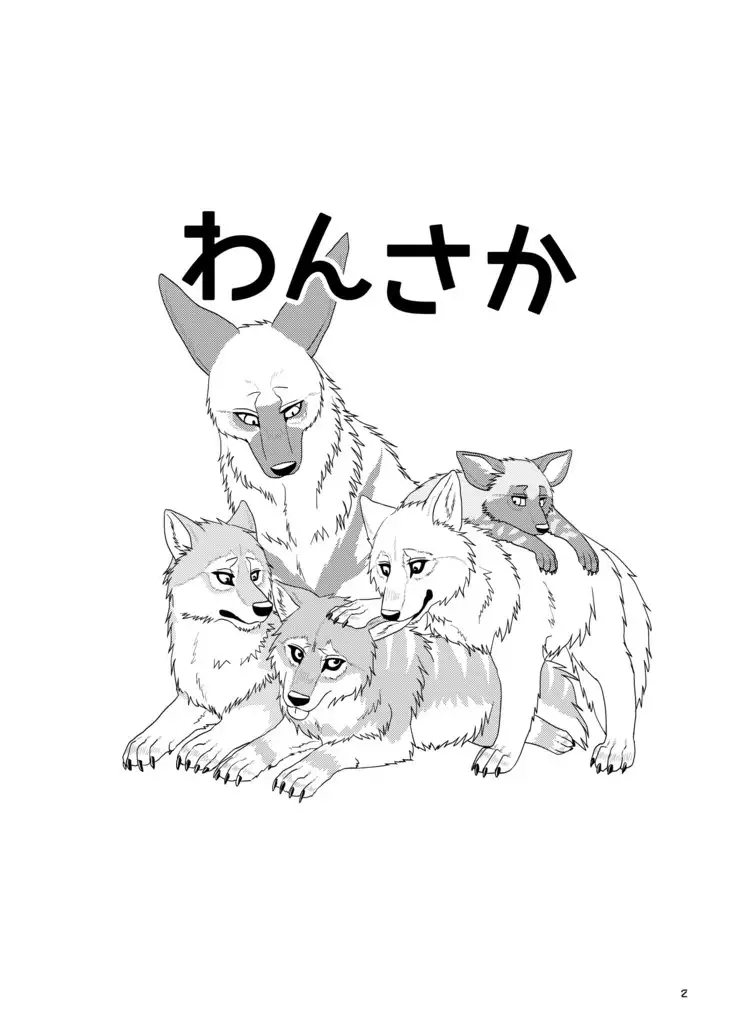 Wolfpack
