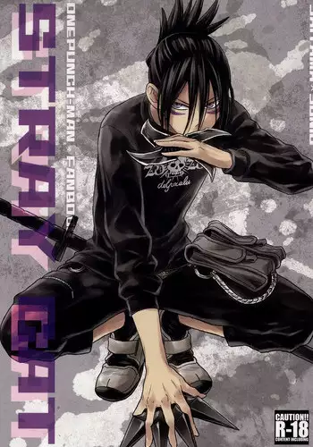 (C86) [LITHIUM (Yukimaru)] stray cat (One Punch Man) [Chinese] [没有汉化]