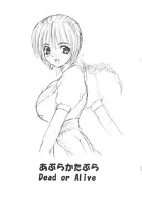 (CR27) [Abura Katabura (Papipurin)] Kasumi Jigoku Hen (Dead or Alive)