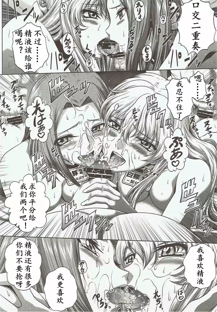 | 四方协奏曲