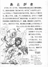 MADO MAGI FILE - Madoka & Homura Gazoushuu
