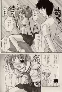 (C64) [Nagisawaya (Nagisawa Yuu)] CHERRY BLOSSOM (Card Captor Sakura)