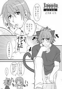 (C74) [Jipohou (Kouki Kuu)] Neko Sakari (Various)