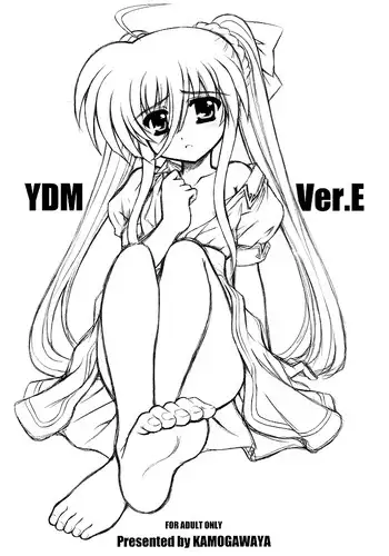 (Nanoha Party 3) [Kamogawaya (Kamogawa Tanuki)] YDM Ver.E (Mahou Shoujo Lyrical Nanoha) [English] [EHCOVE]