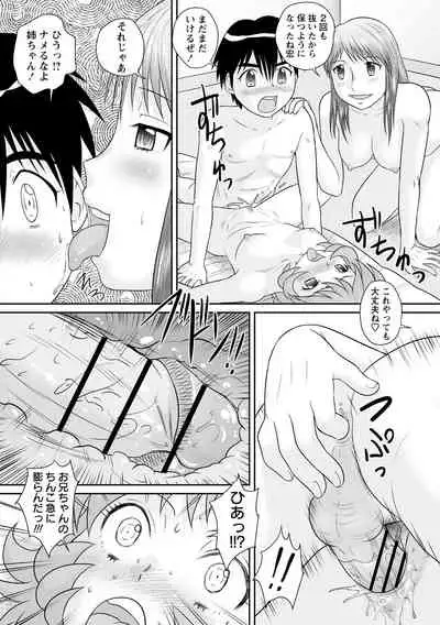 Fudeoroshi Harem Dairankou