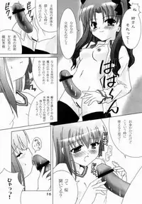(C66) [Honyo no Uchi (Honyo)] Hex of Bloomer (Fate/stay night)
