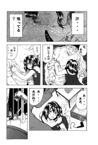 [Gato] スイコ