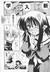 [Tsumagomi Izumo] Kyoudai niku benki
