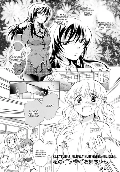 Watashi no Ikenai Onee-chan | Onee-chan Does Wrong Things