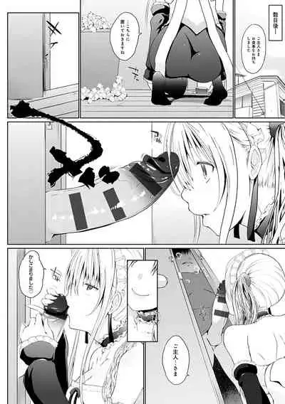Houshi Shuzoku ga Yattekita!