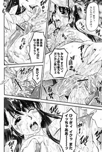 COMIC Momohime 2007-08