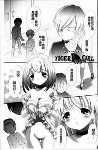 [Bloomer Hogero] Pudding Principle [Chinese]