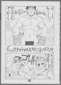 [Naturefour (Various)] BraBraBra (Street Fighter)