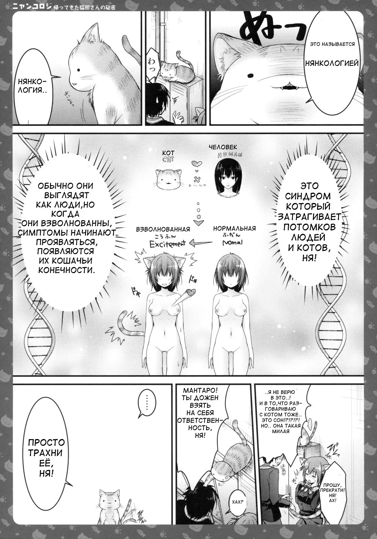 Nyancology -Kaettekita Nekota-san No himitsu-