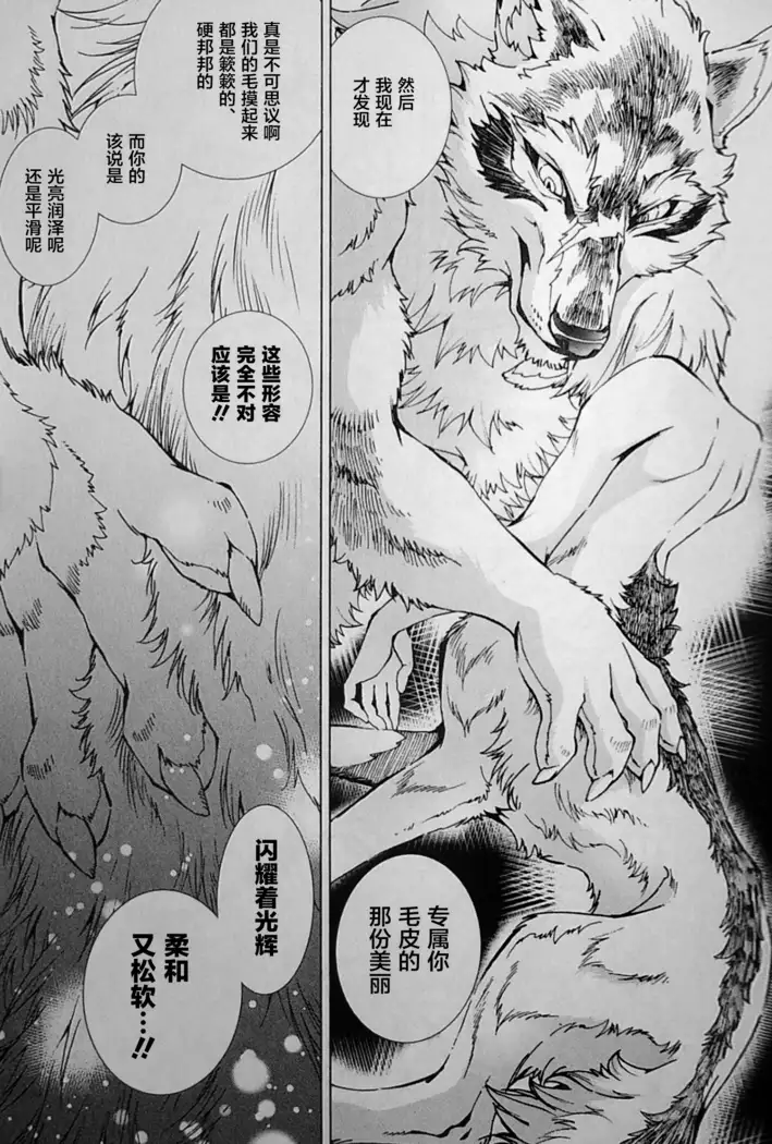 THE WILD LEG wolf