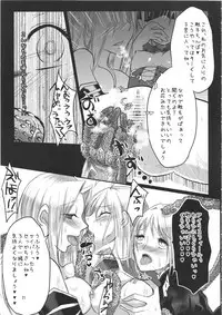 (C83) [Guminchu (Yorutori)] Daraku no Hana (Fate/Zero)