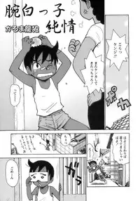 [Anthology] Shounen Ai No Bigaku 17 The Wanpaku Shounen