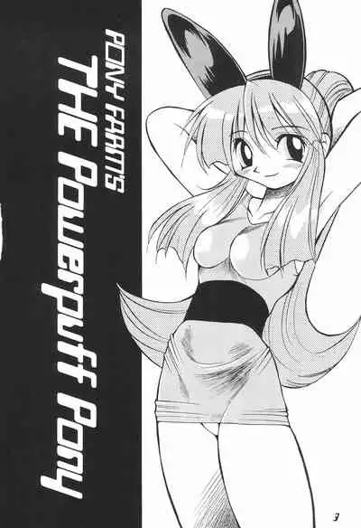 (C60) [Ponyfarm (Various)] The Power Puff Pony (The Powerpuff Girls)
