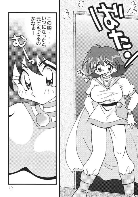 SLAYERS ADULT 10