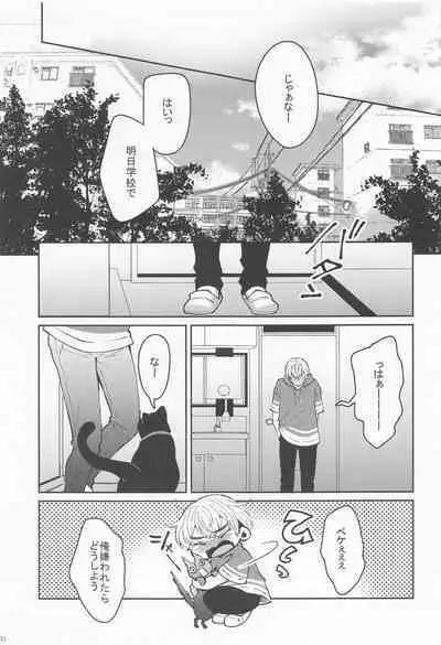 [kokoronobosu] hajimetedakarakimigaii (tokyoribenjazu)