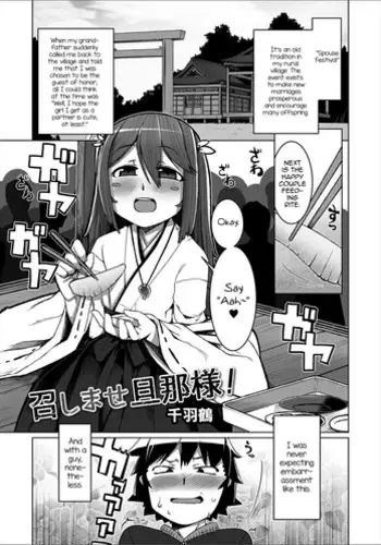 |宝可梦的故事（呜鸟木个人汉化组）