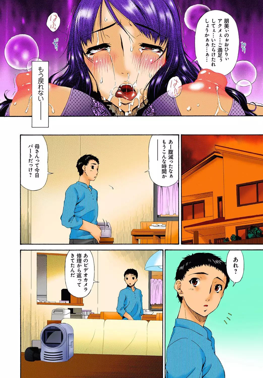 Hametorare full color