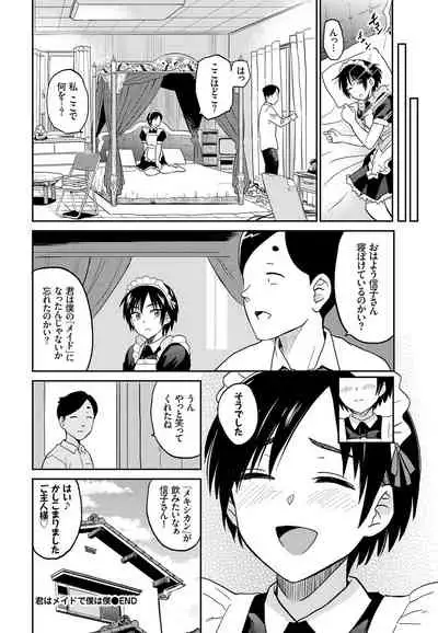 Nikutai Gohoushi ga Daisukikei Maid Vol.2