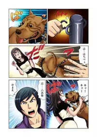 Gaticomi Vol.36