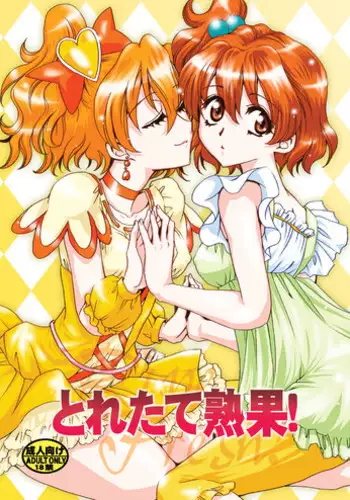 (C77) [Ambivalent-E (Ookami Yuuki)] Fushiawase! GET da yo!! (Fresh PreCure!)