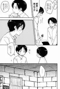 [hey you! (Non)] Heichou Gokyouryoku Onegaiitashimasu (Shingeki no Kyojin)