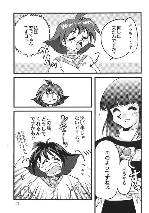SLAYERS ADULT 10