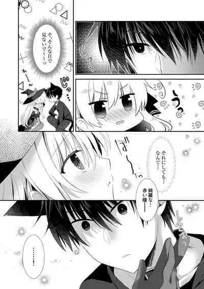 Ponkotsu Majo to Ijiwaru na Neko.