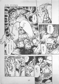 [Maeda Toshio] Night Angel
