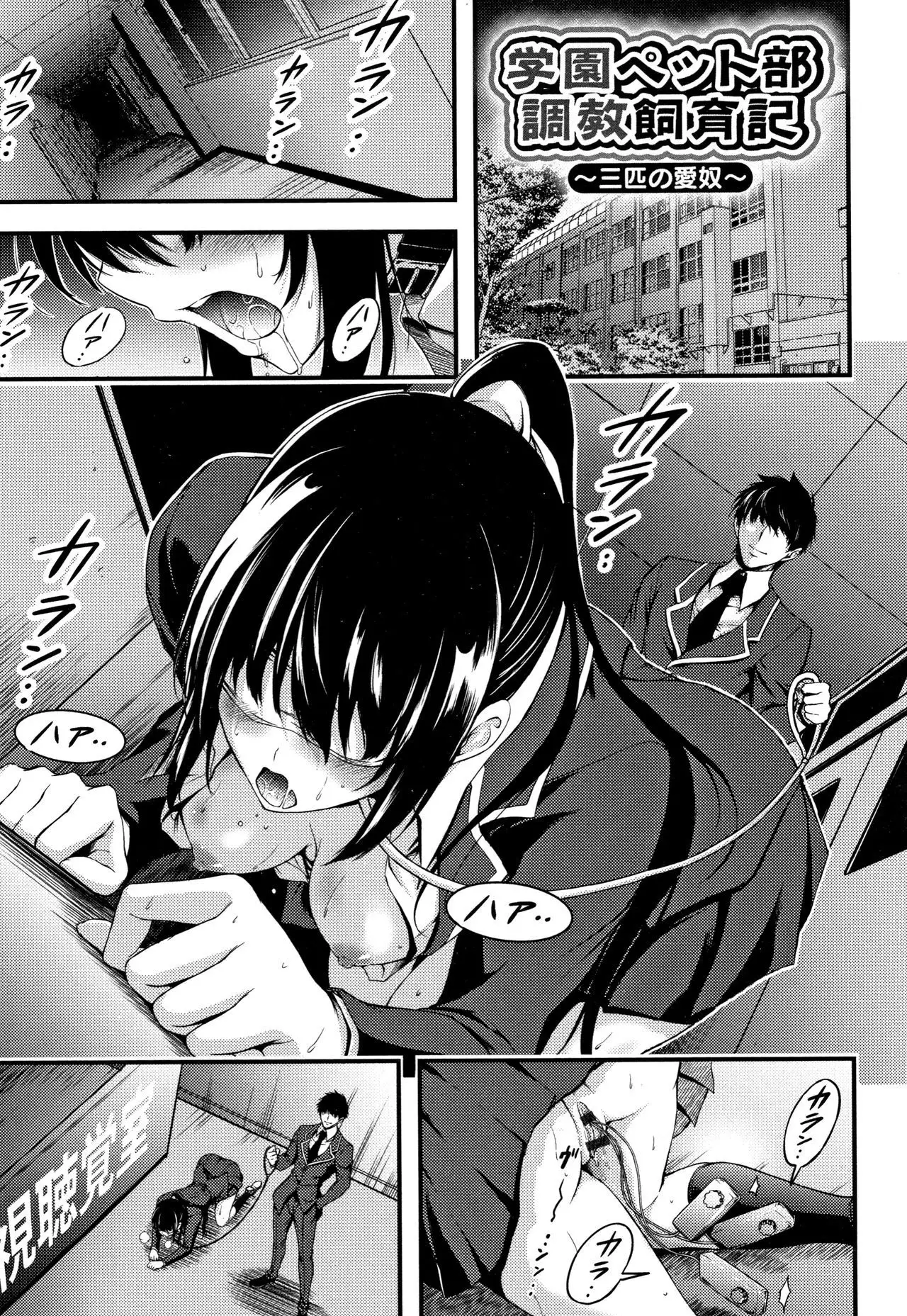 Nichijou Bitch Seitai Kansatsu