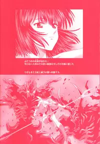 (C69) [Hen Rei Kai (Kawarajima Koh)] AmiHota!! Side:D (Sailor Moon)