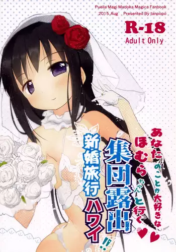 百合花盛开的茶会合集