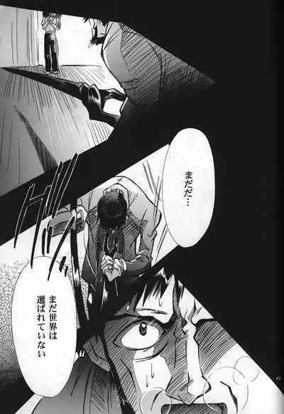 <Shinyaku> neon genesis document G