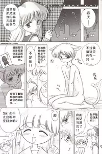 [BLACK DOG (Kuroinu Juu)] Stray Cat (Bishoujo Senshi Sailor Moon) [Chinese]