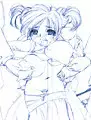 [Country Farm] Needle Garden Vol. 14 (Sailor Moon)