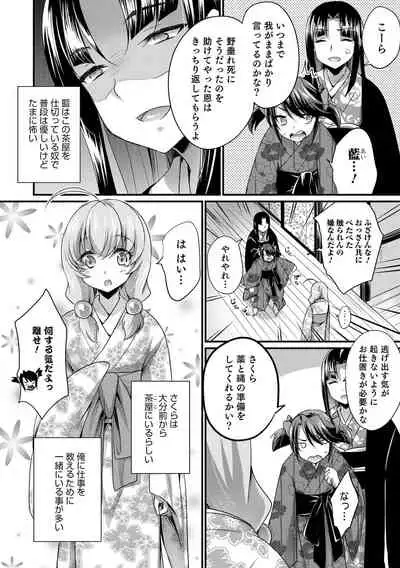 Etchina otokonoko no sodate-kata